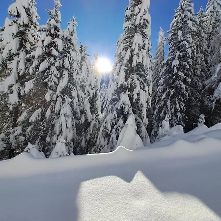 Jakob-adults Only Apartment Neustift im Stubaital