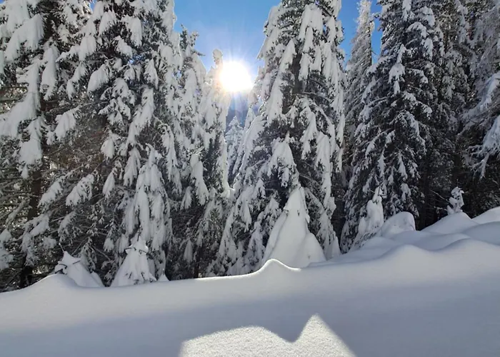 Jakob-adults Only Апартаменты Нойштифт-им-Штубайталь