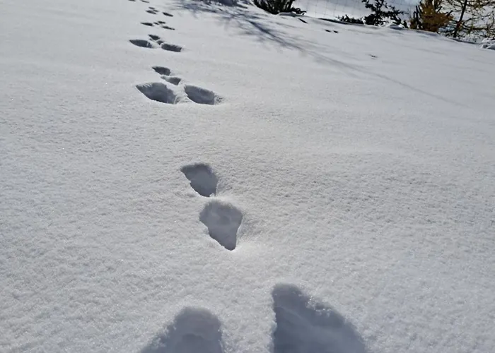 Jakob-adults Only * Нойштифт-им-Штубайталь